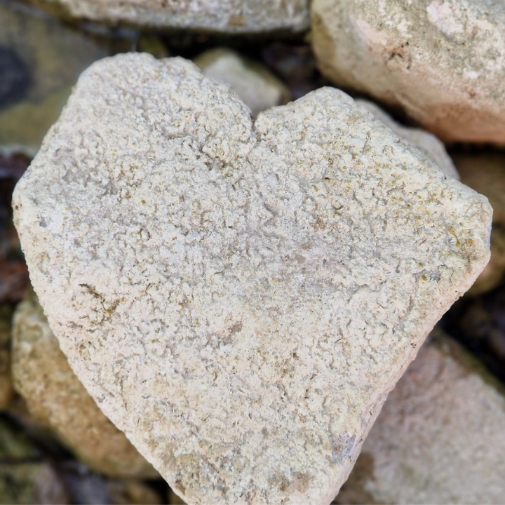 Accompagnement, formation & Bien Être sur le Vaucluse