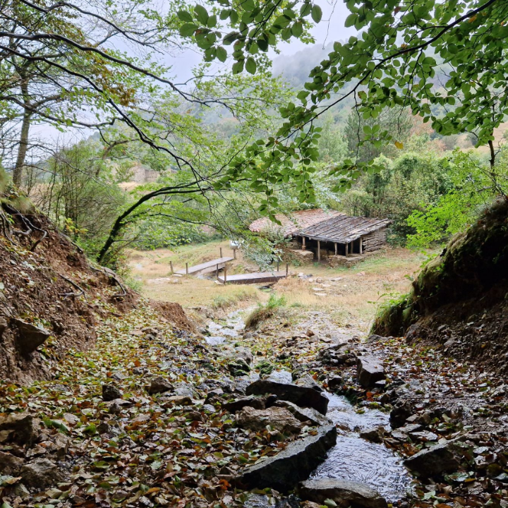 Accompagnement, formation & Bien Être sur le Vaucluse