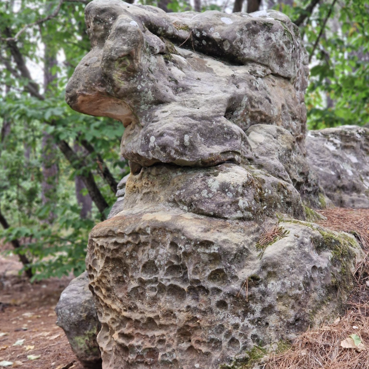 Accompagnement, formation & Bien Être sur le Vaucluse