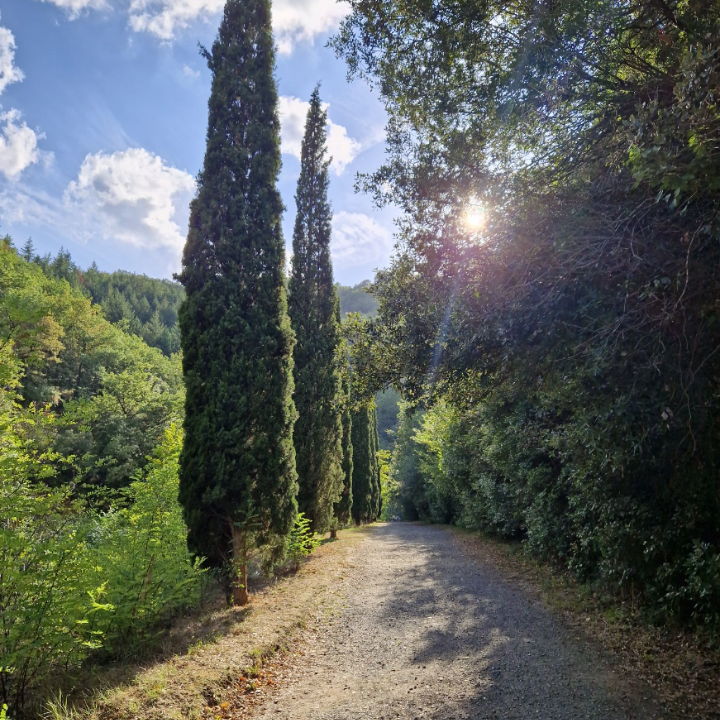Accompagnement, formation & Bien Être sur le Vaucluse